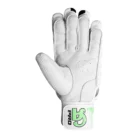 ca-cricket-batting-gloves-pro-15000-for-adults-3