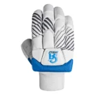 ca-cricket-batting-gloves-pro-performance-for-adults-2