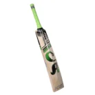ca-cricket-hardball-bat-pro-15000-limited-edition-1