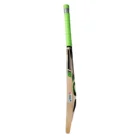 ca-cricket-hardball-bat-pro-15000-limited-edition-2
