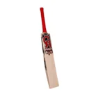 ca-cricket-hardball-bat-pro-3000-2