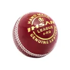 cricket-ball-league-pro-2