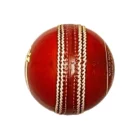 cricket-ball-match-pro-3